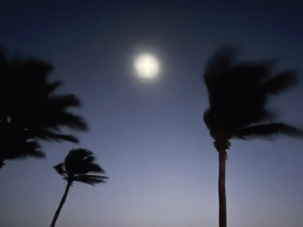 things i love:&nbsp;attention