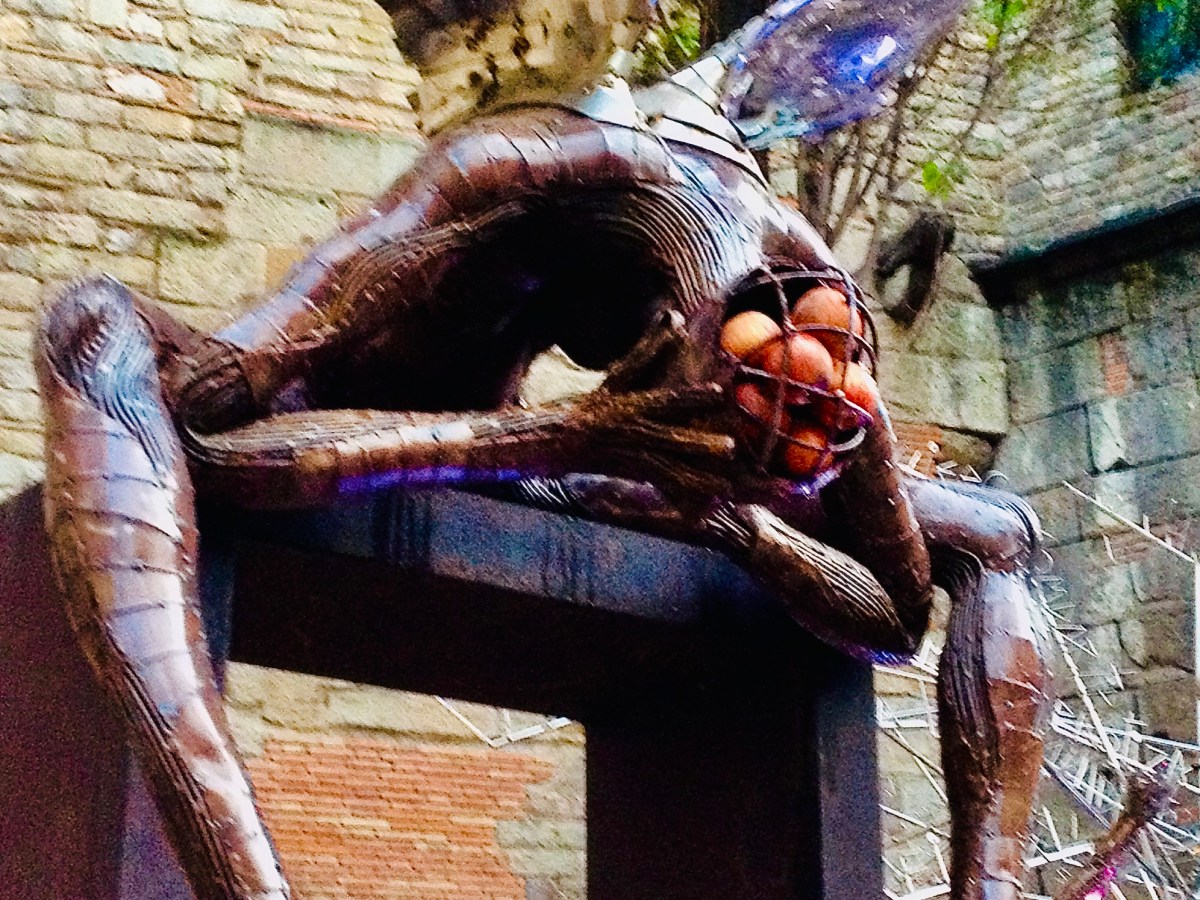 things i love:&nbsp;acne